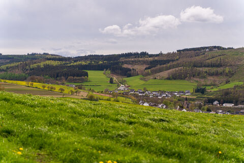 Blick auf Albaum