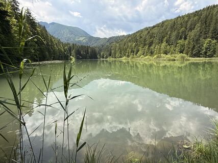 Zdjęcie z Natur_erleben_dg wzdłuż trasy