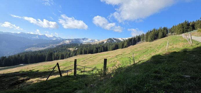 Foto von Sandra Kretzschmar entlang der Tour
