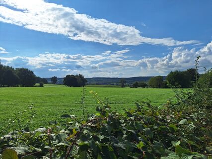 Fotografija s spletne strani Jaap Rozeboom na poti