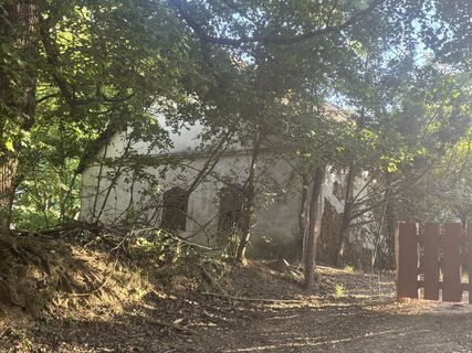 Fotografia z Várhelyi Alicia na trase