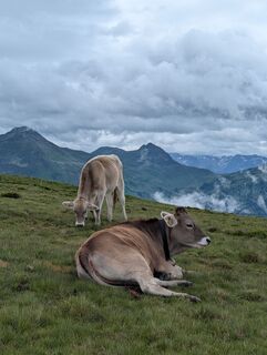 Fotografia z Lars Vogelbein na trase