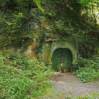Weinlager-Nachtigallental