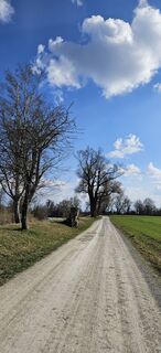 Zdjęcie z garrincha wzdłuż trasy