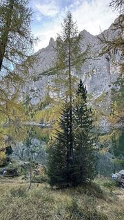Fotografija s spletne strani ROBERTO BONIOTTI na poti
