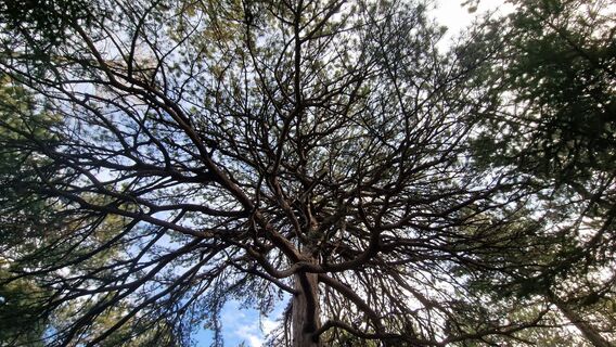 Foto fra Michael D underveis på turen