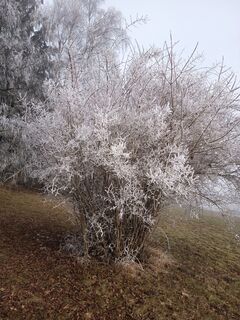 Foto von Lehnerchristian entlang der Tour