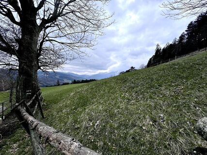 Фото с сайта Werner Sejka во время экскурсии