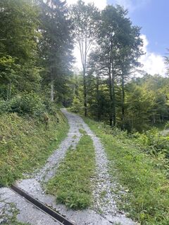 Foto fra Ewelina D undervejs på turen