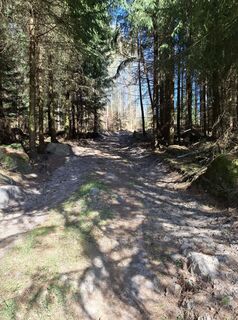 Foto de nordbergschnecke a lo largo del recorrido