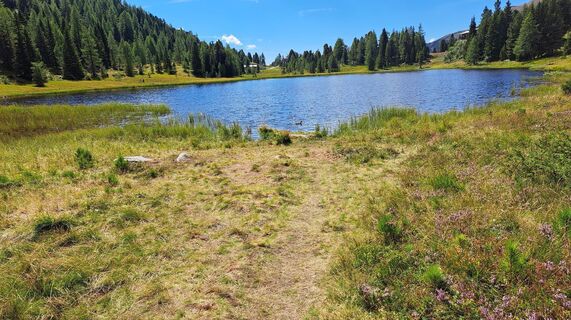 Fotografie z Anna Wilding na trase