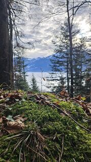 Fotografia z Tamara Wasser 1 na trase