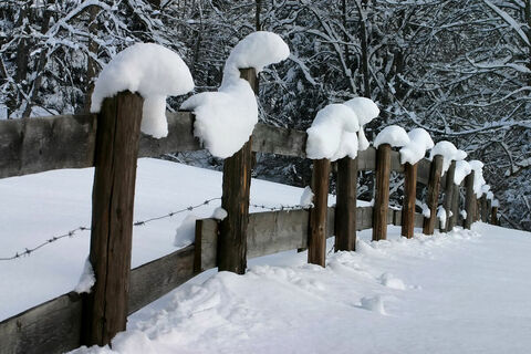 Winterwanderung - Geizenmoos