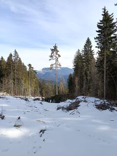 Fotografija s spletne strani Oskar Šolar na poti