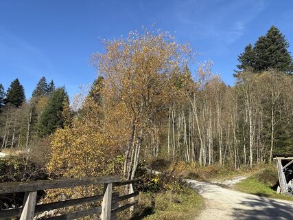 Fotografia z Heinz Sperl na trase
