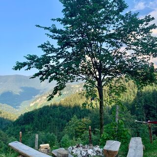 natur.BANK.wege | Weyer | Hobischalm | 333507