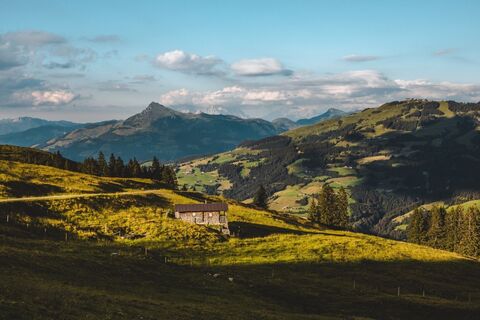 almrosenweg alm.jpg