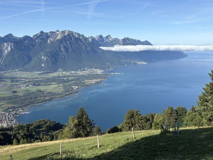 Foto fra mlocher undervejs på turen