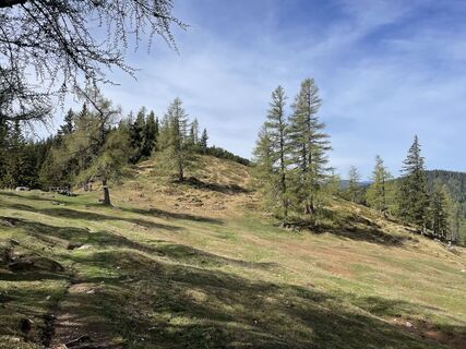 Foto von Janes Burazer entlang der Tour