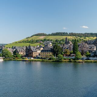 Blick auf Traben Trarbach vom Mosel-Radweg