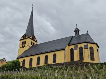 Foto von Mayer entlang der Tour