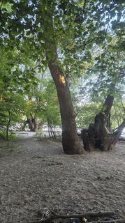 Foto de Dietmar Herrenschmidt a lo largo del recorrido