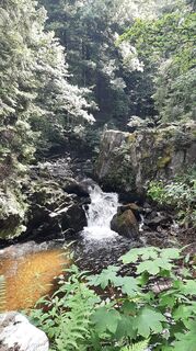 Foto de Danny Verdonck a lo largo del recorrido