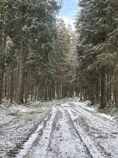 Fotografie z tomzer na trase