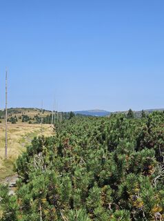 Zdjęcie z Andreas Schneider 7 wzdłuż trasy