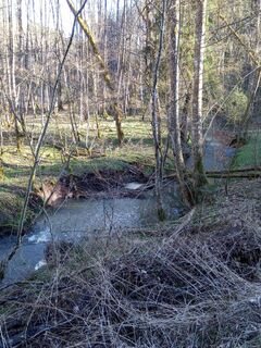 Foto fra Kessy undervejs på turen