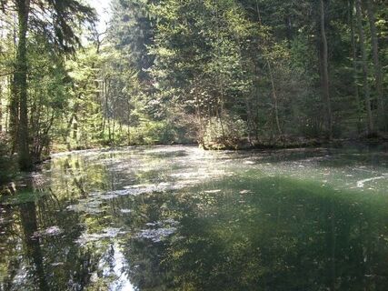 Burgwaldpfad