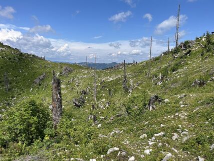 Fotografija s spletne strani Helmut Wieseneder na poti