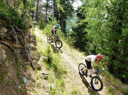 Hannig Loop