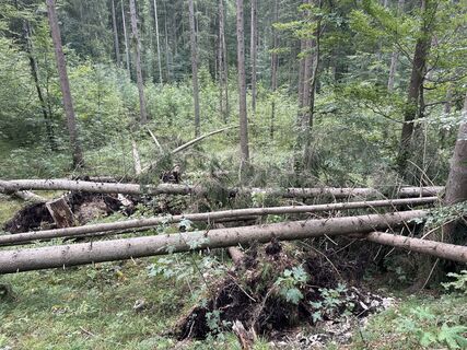 Photo from Grizzli along the tour