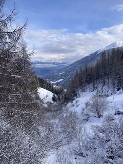 Foto fra Bauerrosi underveis på turen