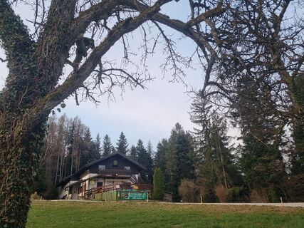 Fotografija s spletne strani Grizli na poti