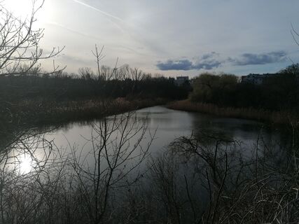 Foto de Dragoljub Ilic a lo largo del recorrido