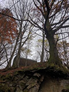 Photo de Bairebike le long du parcours