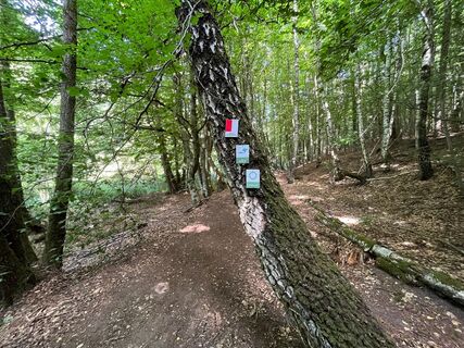 Wegemarkierung des Weges "Der Jägersburger"und weiterer Wege