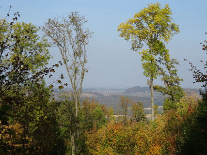 Blick von der Gaggensteige zur Frickenhofer Höhe