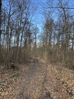 Foto von Babs Holz entlang der Tour