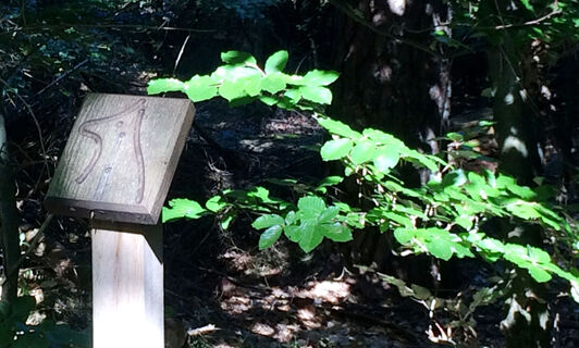 Beschilderung Waldlehrpfad Vosspäddken in der Erlebnisregion Artland