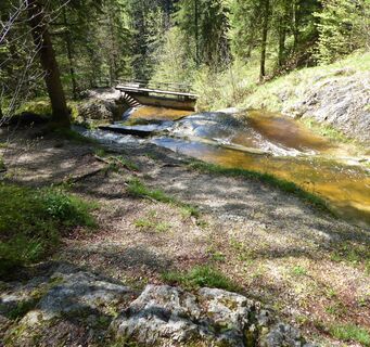 Schlucht des Rettenbachs im Wald
