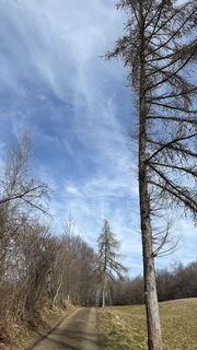 Fotografija s spletne strani Agnese Martinelli na poti