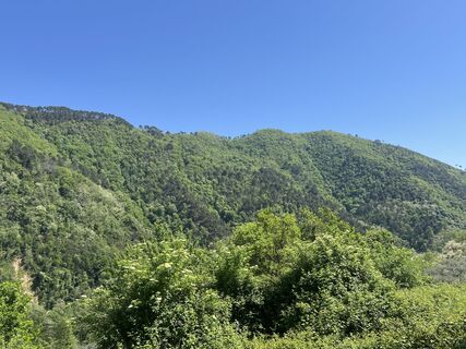 Photo de Mike K aus U le long du parcours