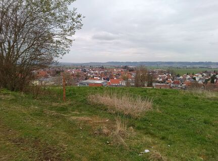 Photo de fhipps le long du parcours