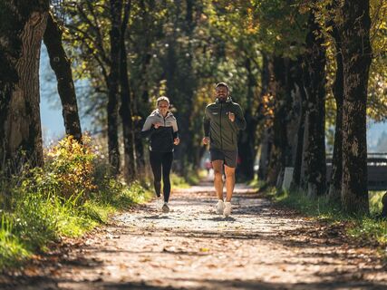 porscheallee-lauf_img_74753014