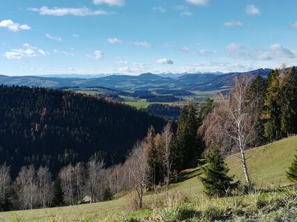 Brandlucken Blick über Almen_Almenland_Foto Fuchs.jpg