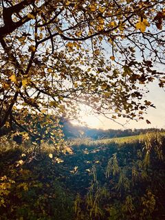 Photo de Petrita le long du parcours