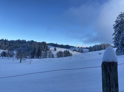 Foto fra Richard Bronold underveis på turen